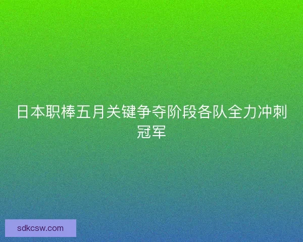日本职棒五月关键争夺阶段各队全力冲刺冠军